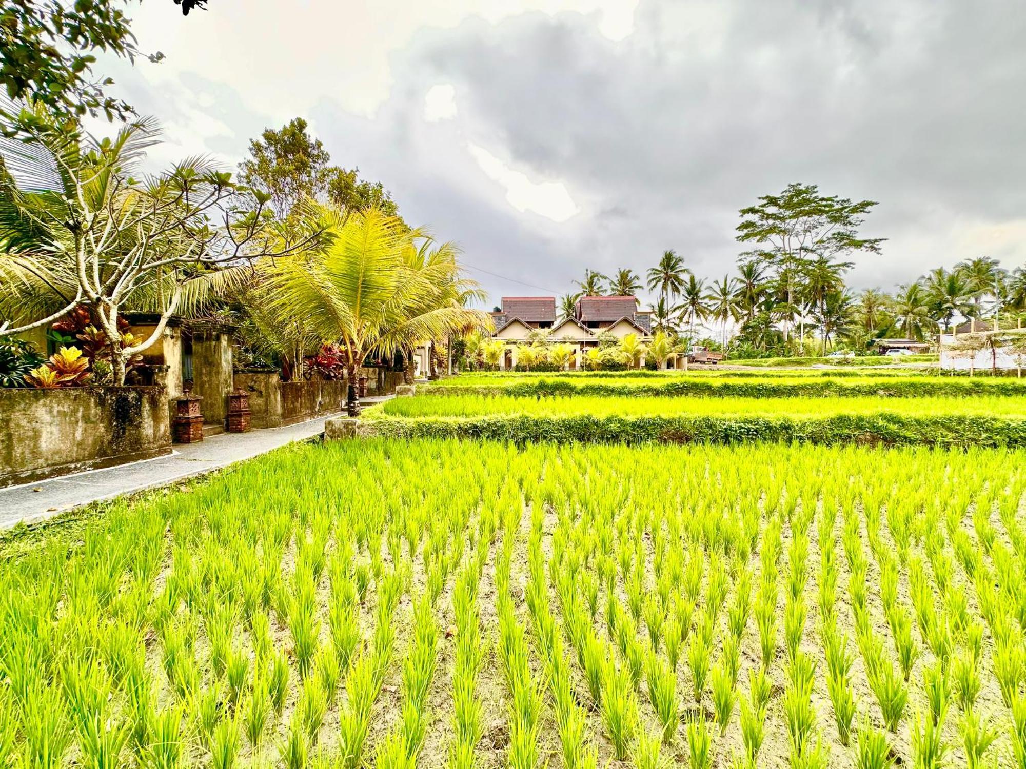 ดูปา อูบุด วิลลา Hotel ภายนอก รูปภาพ