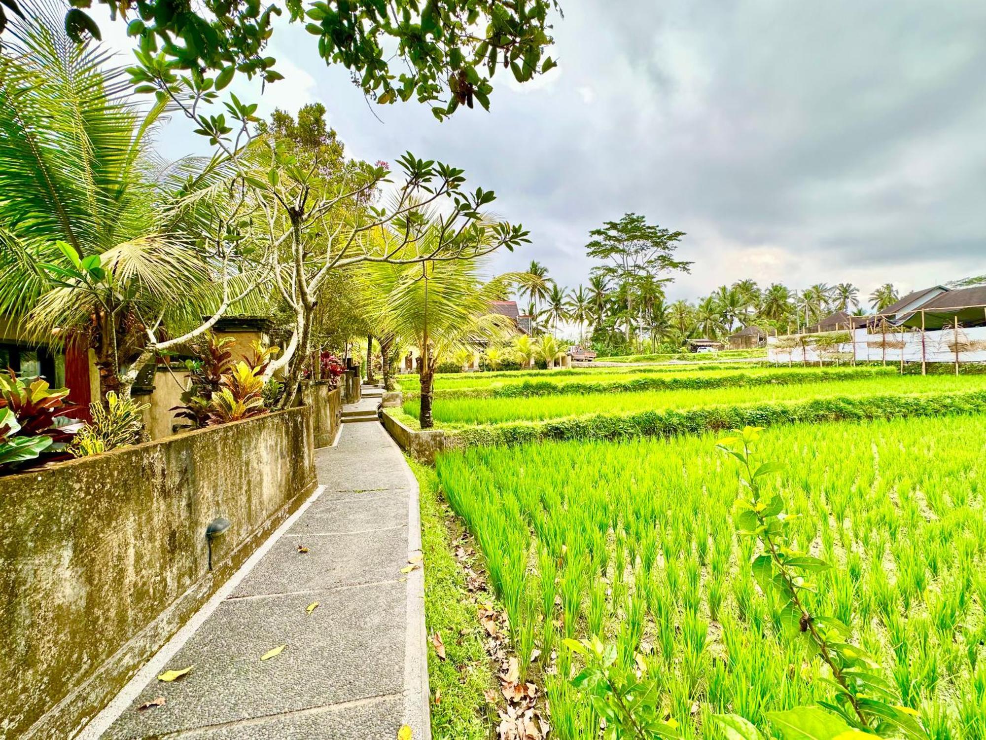 ดูปา อูบุด วิลลา Hotel ภายนอก รูปภาพ